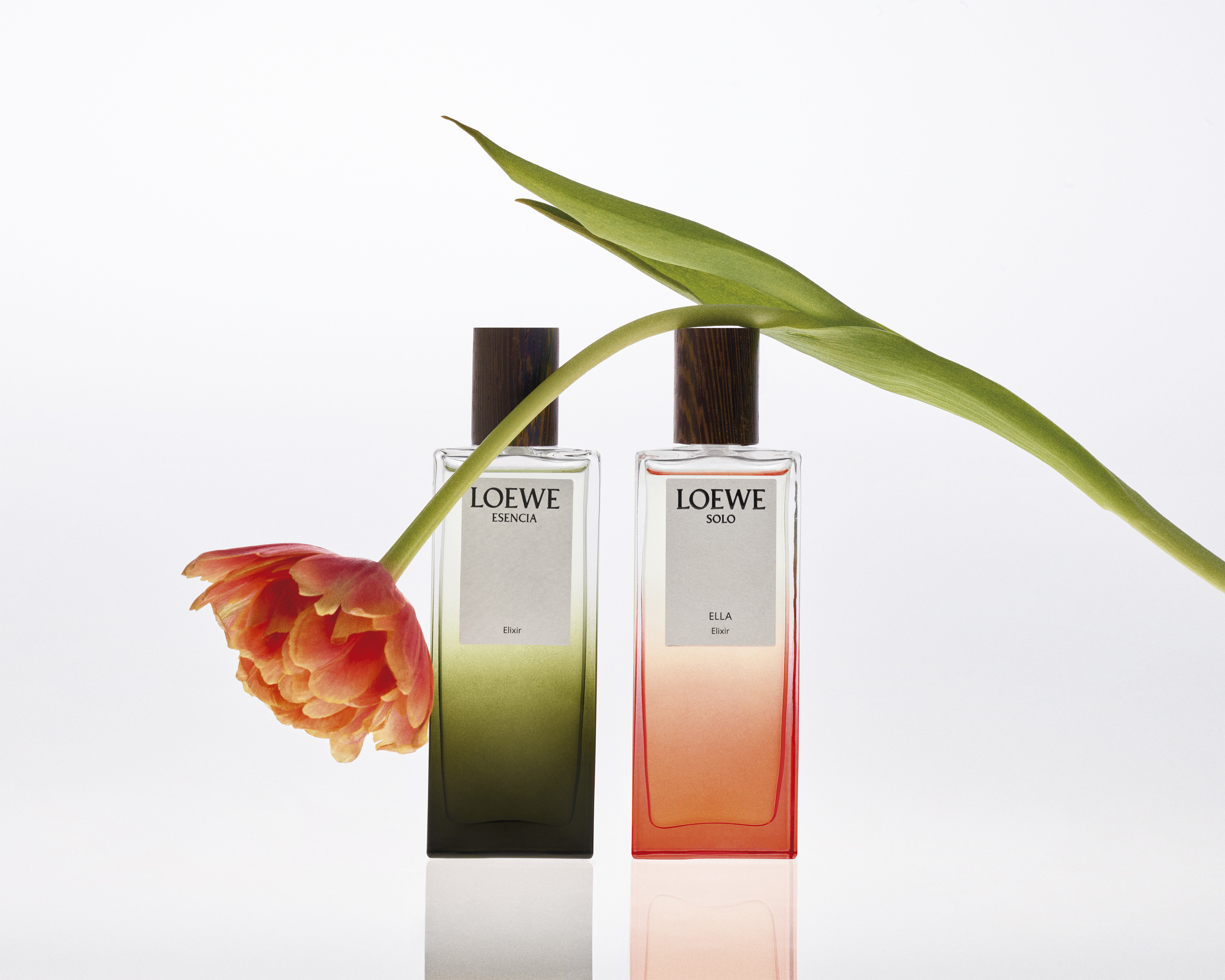 LOEWE Perfumes presenta una nueva intensidad olfativa inspirada en