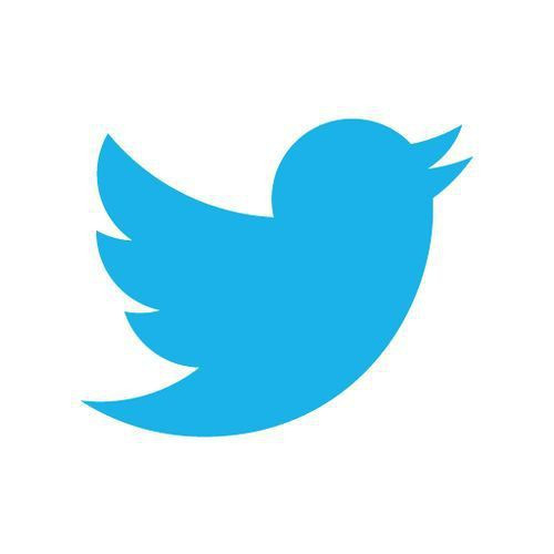 Logo twitter 875 15684