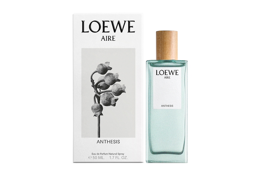 Aire anthesis LOEWE