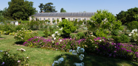 MFK   Jardin du Parfumeur ©JPH Clandoeil   10