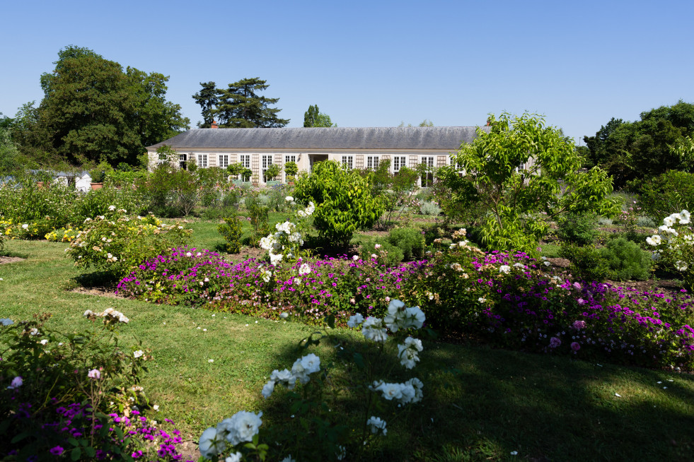 MFK   Jardin du Parfumeur ©JPH Clandoeil   10