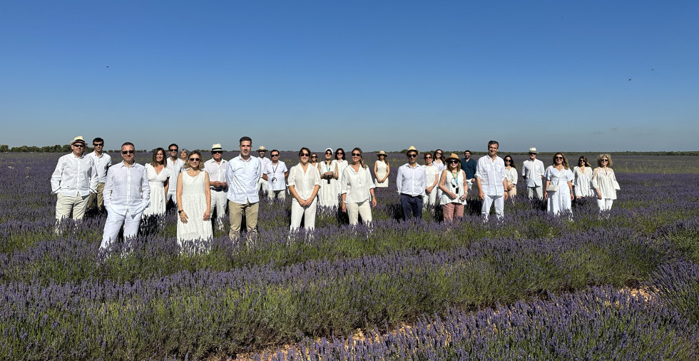 Visita campos lavanda Stanpa