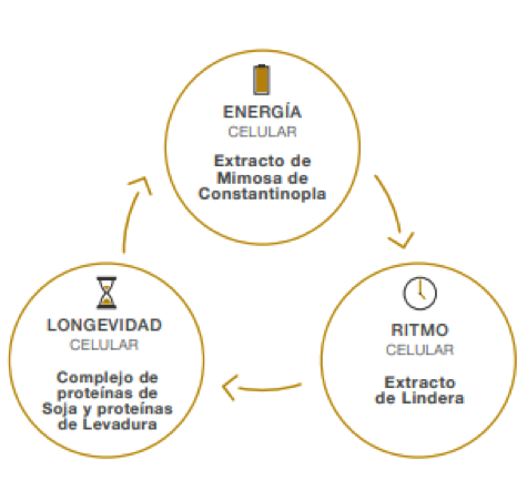 Grafico celular Sisleya