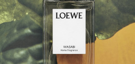 Wasabi Loewe Marz 0326359