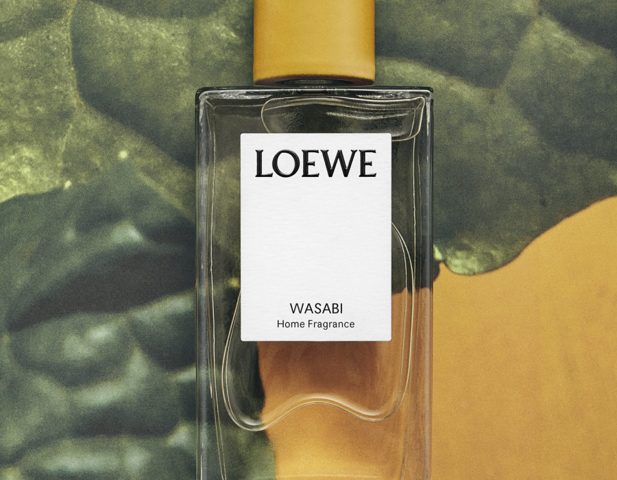 Wasabi Loewe Marz 0326359