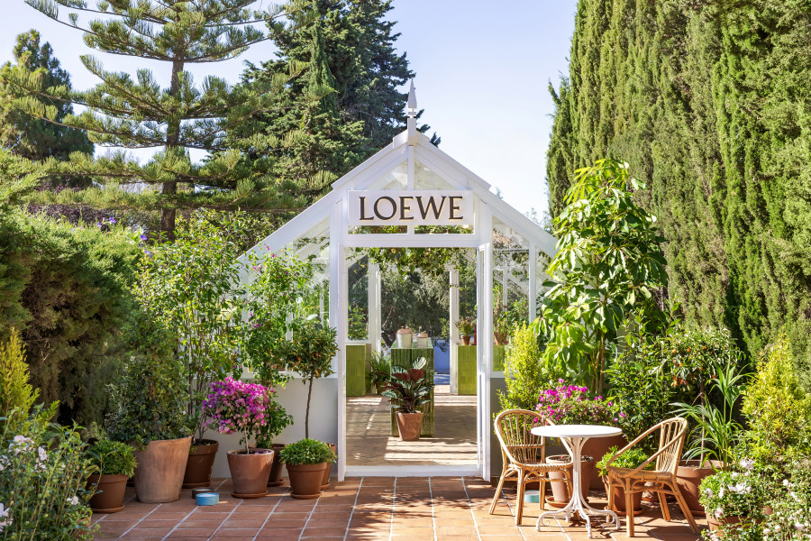 GREENHOUSE LOEWE PERFUMESMARBELLA 4