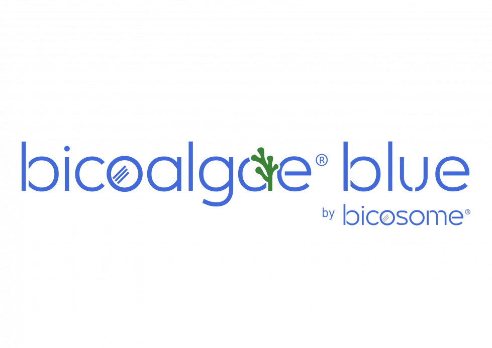 Disseny Logotip BicoalgaeBlue Completo CMYK 2INK