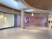 Druni remodelacionCCVigo